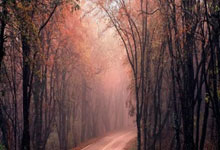 爱游戏:103欧!利物浦8500万欧边锋转会分成纠纷宣判,今夏有望加盟巴萨.