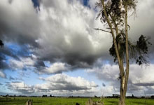 爱游戏:英媒:若森林获得欧冠席位,他们考虑打破队史纪录签下库尼亚.