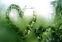 屡失良机付出代价 阿申纳点球战不敌10人曼联出局.