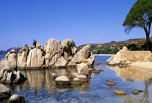 特瓦斯回击:皇马自己要求改赛程,结果休息时间又不足72小时.